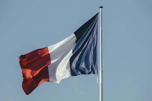 法國稀土元素及貴金屬含量公示要求